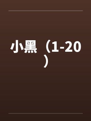 小黑盒