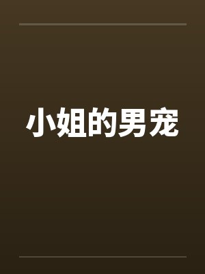 小姐的男宠