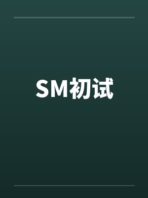 SM初试