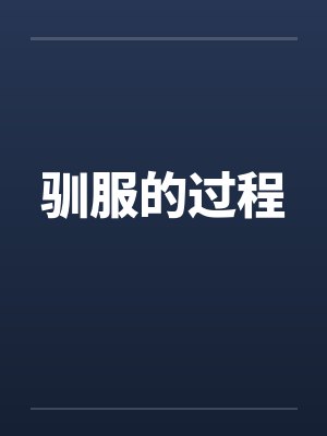 驯服的过程