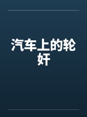 汽车上的轮奸