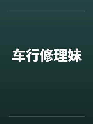 车行修理妹