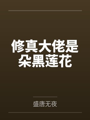 盛云淮繁谪星