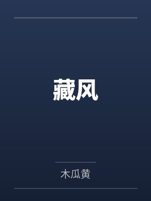 藏风