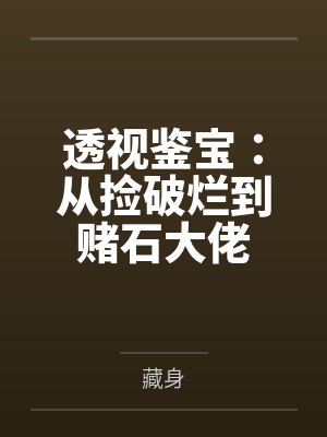 透视鉴宝：从捡破烂到赌石大佬