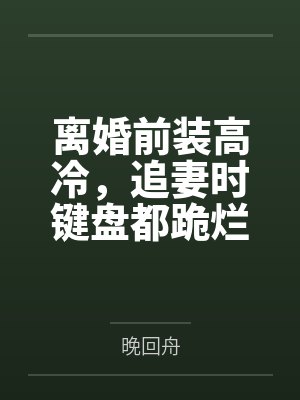 离婚前装高冷,追妻时键盘都跪烂了