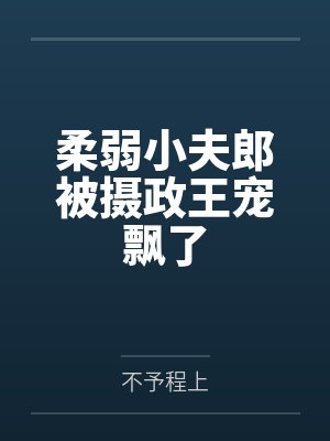 连霁允刑晏柔弱小夫郎被摄政王宠飘了