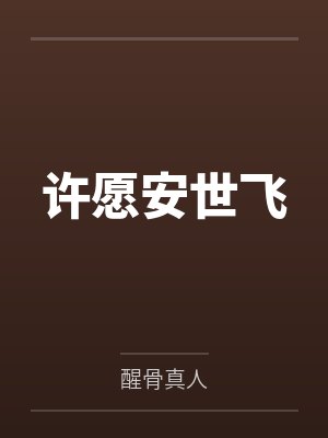许愿安世飞