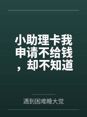 小助理卡我申请不给钱，却不知道死的是
