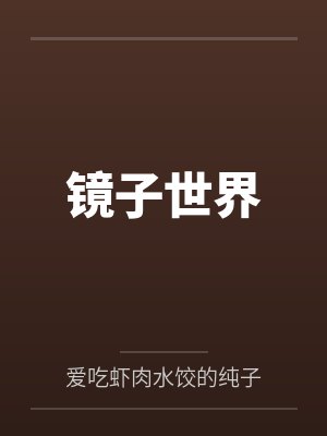 镜子世界