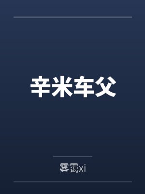 辛米车父