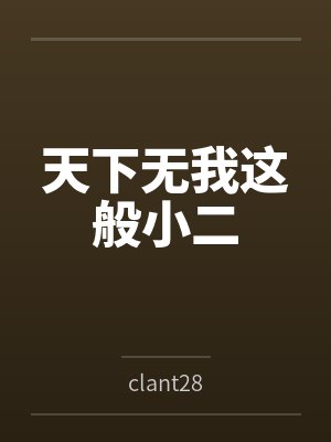 天下无我这般小二