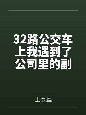 32路公交车上我遇到了公司里的副总裁by周野