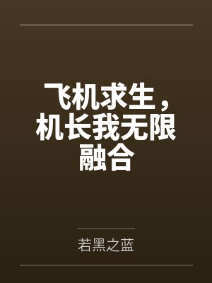飞机求生,机长我无限融合