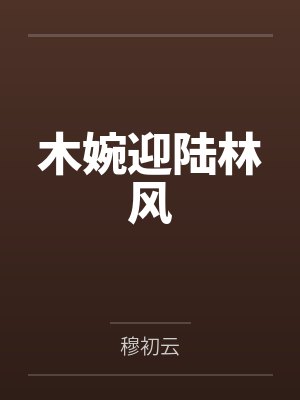 木婉迎陆林风