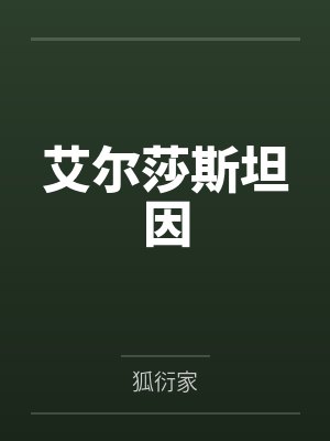 艾尔莎斯坦因